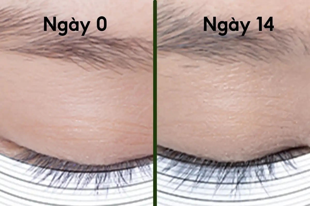 Bí quyết sở hữu hàng mi cong dài, lông mày chắc khỏe từ gốc