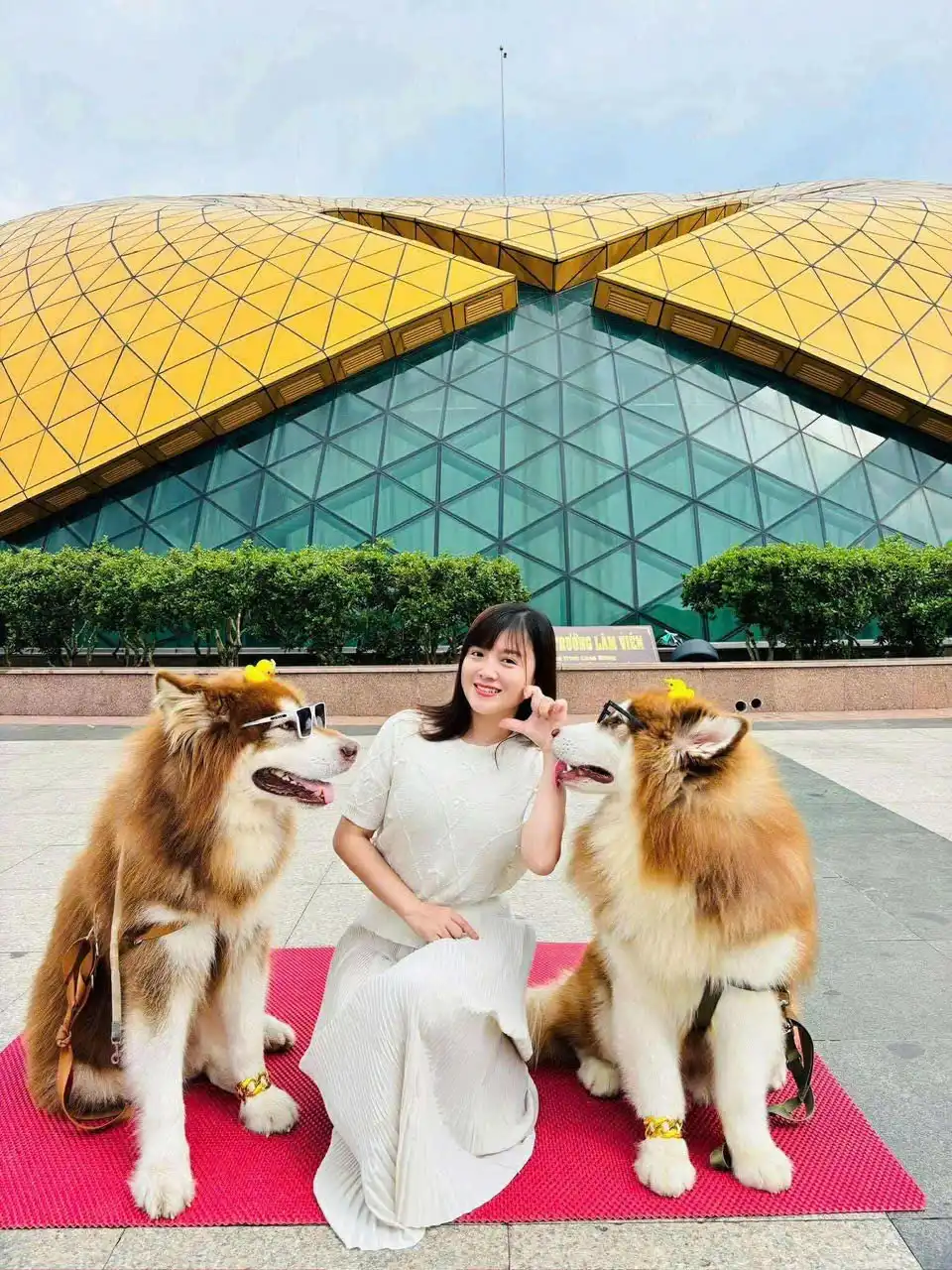 Người phụ nữ biến gian khó thành nghị lực: Câu chuyện truyền cảm hứng của Doanh nhân Trịnh Thị Việt Anh