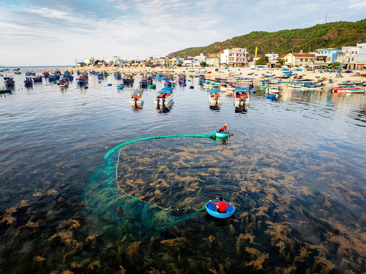 Gia Lai đặt du lịch xanh làm trụ cột phát triển dài hạn- Ảnh 1. Gia Lai đặt du lịch xanh làm trụ cột phát triển dài hạn- Ảnh 1.